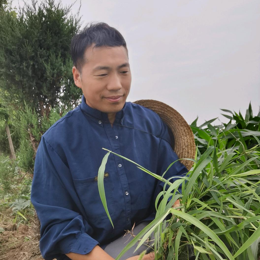 戏迷二哥