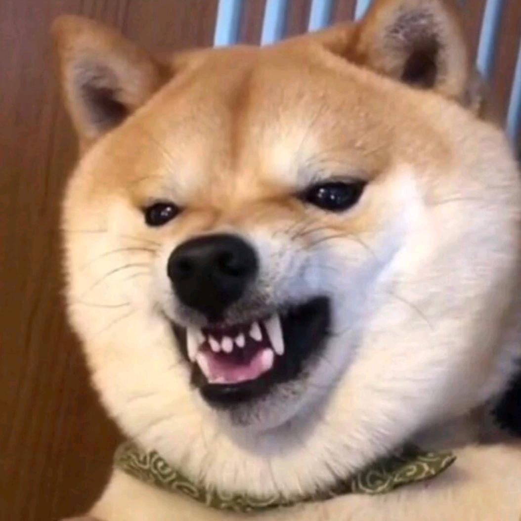 阿文来咯