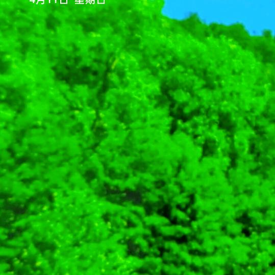 感悟人生