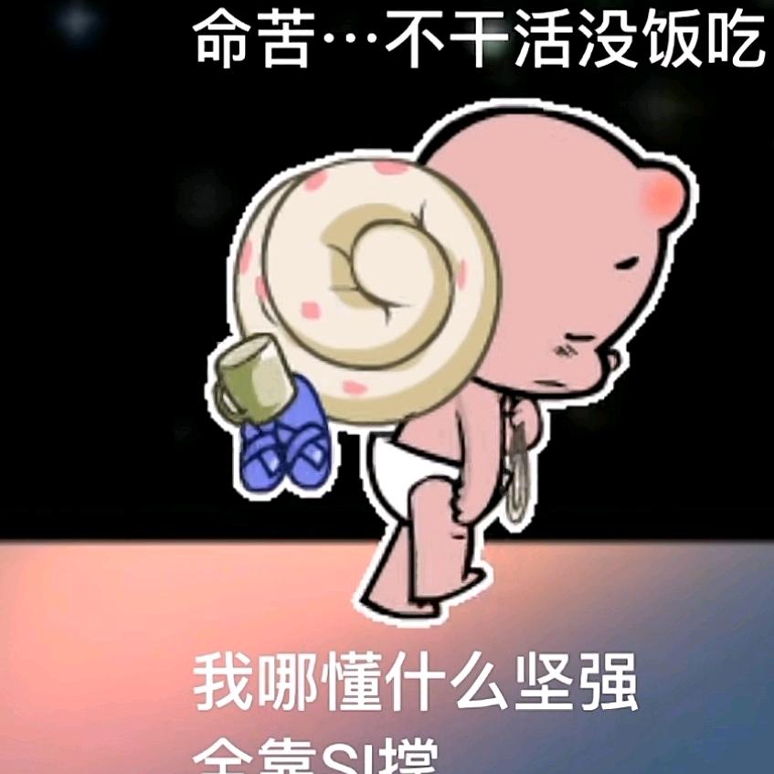摆烂的小🐟