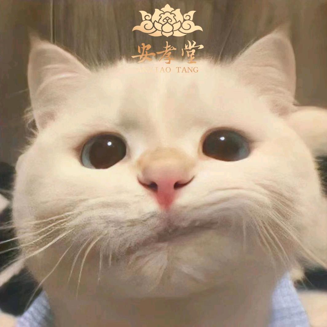 年轻的安孝堂