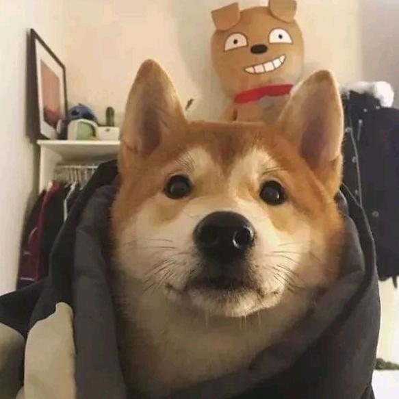 气球