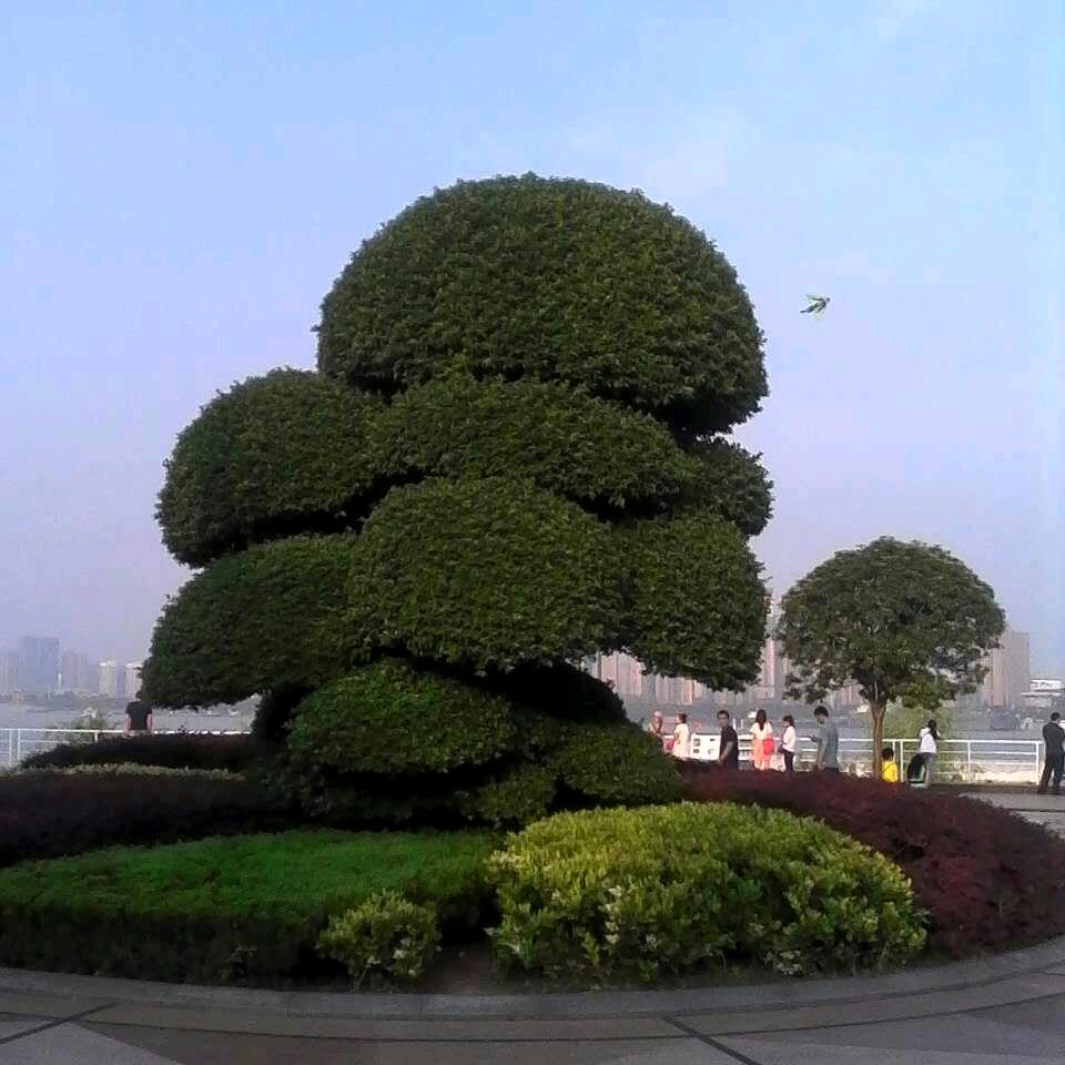 吉祥如意