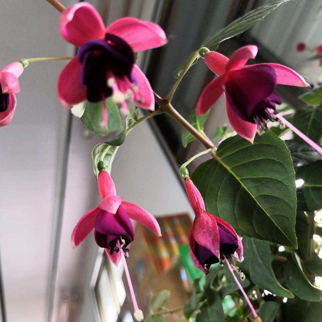 只有今生没有来世