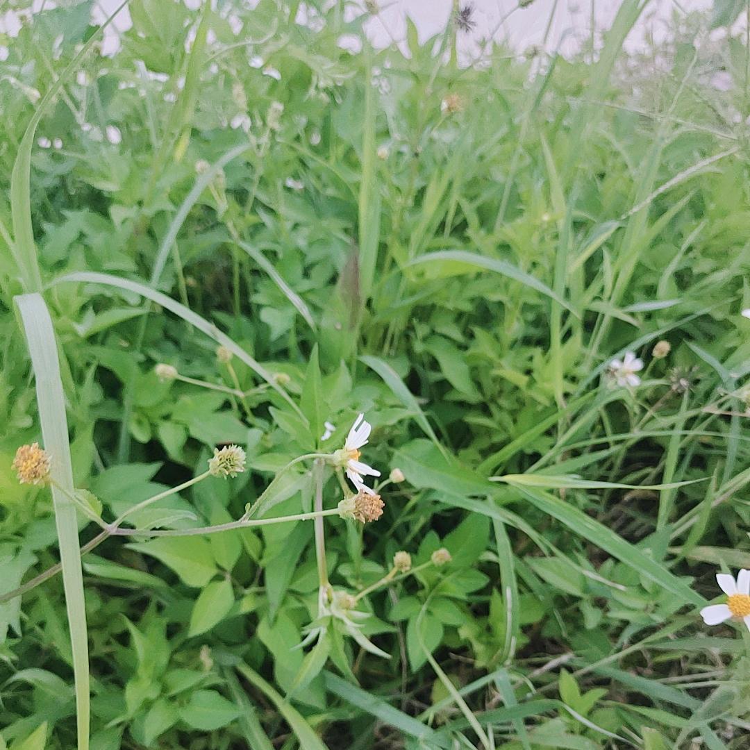 🌹ℋ离ꦿꦿ雨ꦿ᭄᪲࿐ᩚ