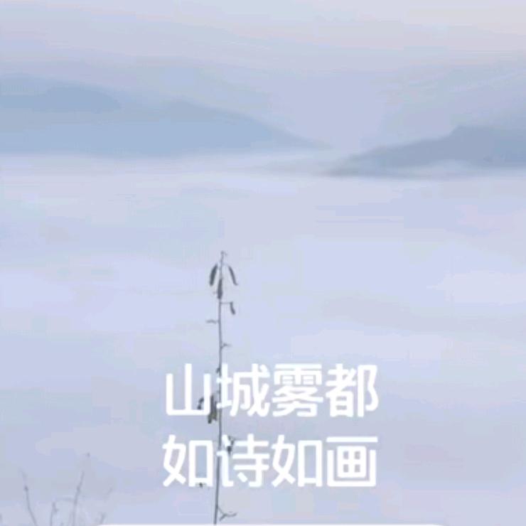 大王哥