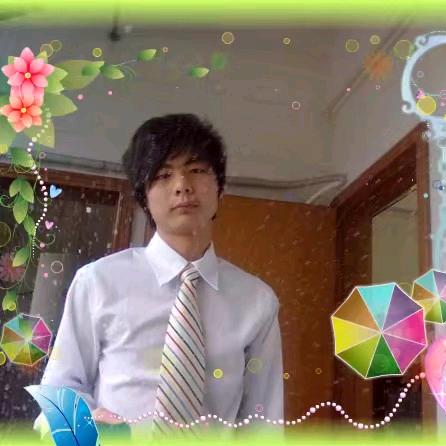 梦幻亲表文—海鸥