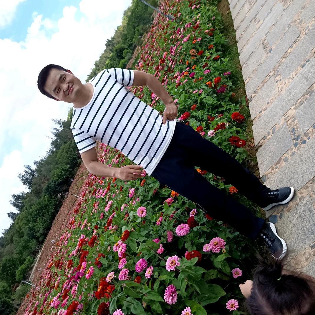 壹粒尘埃