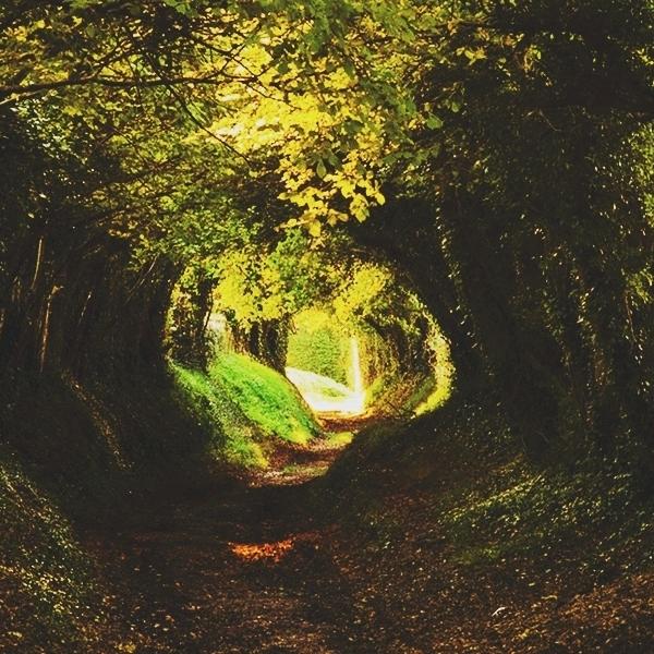 体质健康管理师小宁