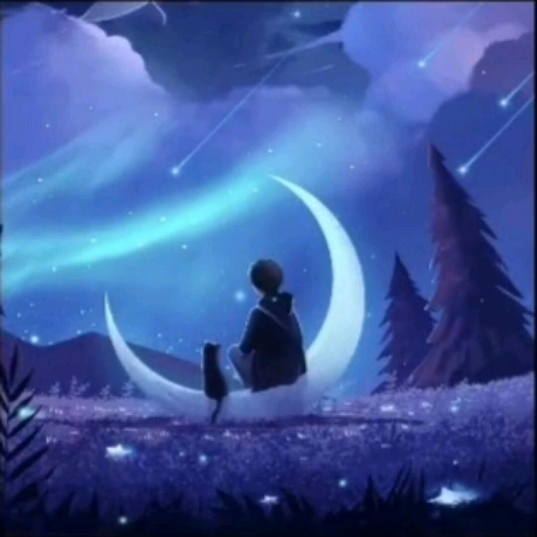 看星河真美