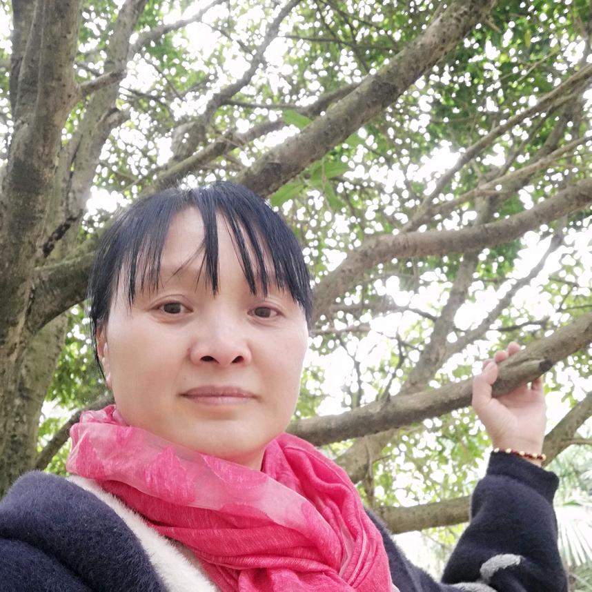 甄菊远