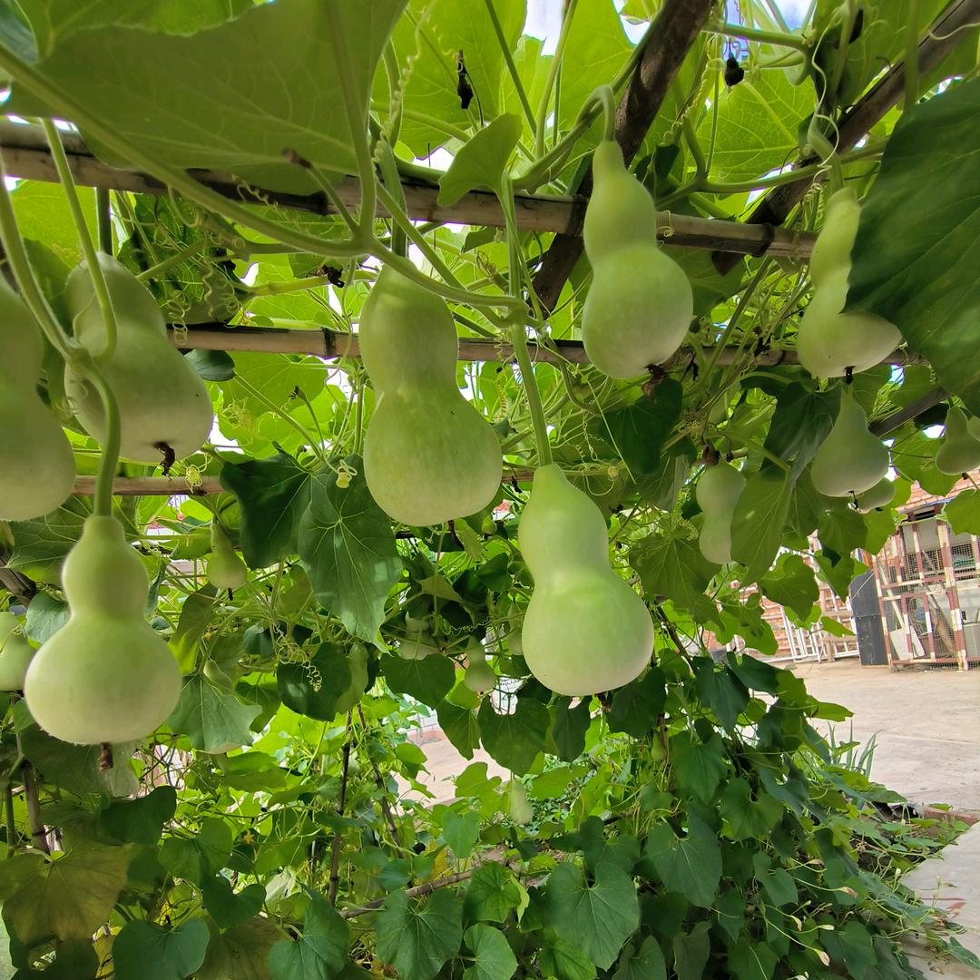 风轻云淡，遇事安然