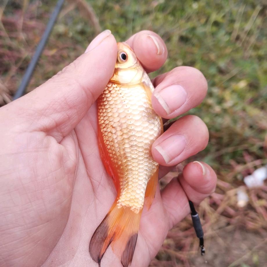 🌈执笔画卿颜🌈