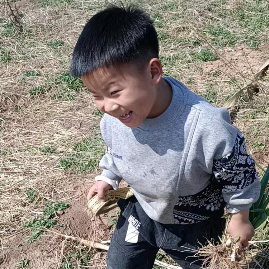 河北保润达净化板、金属雕花板、渊博树脂瓦