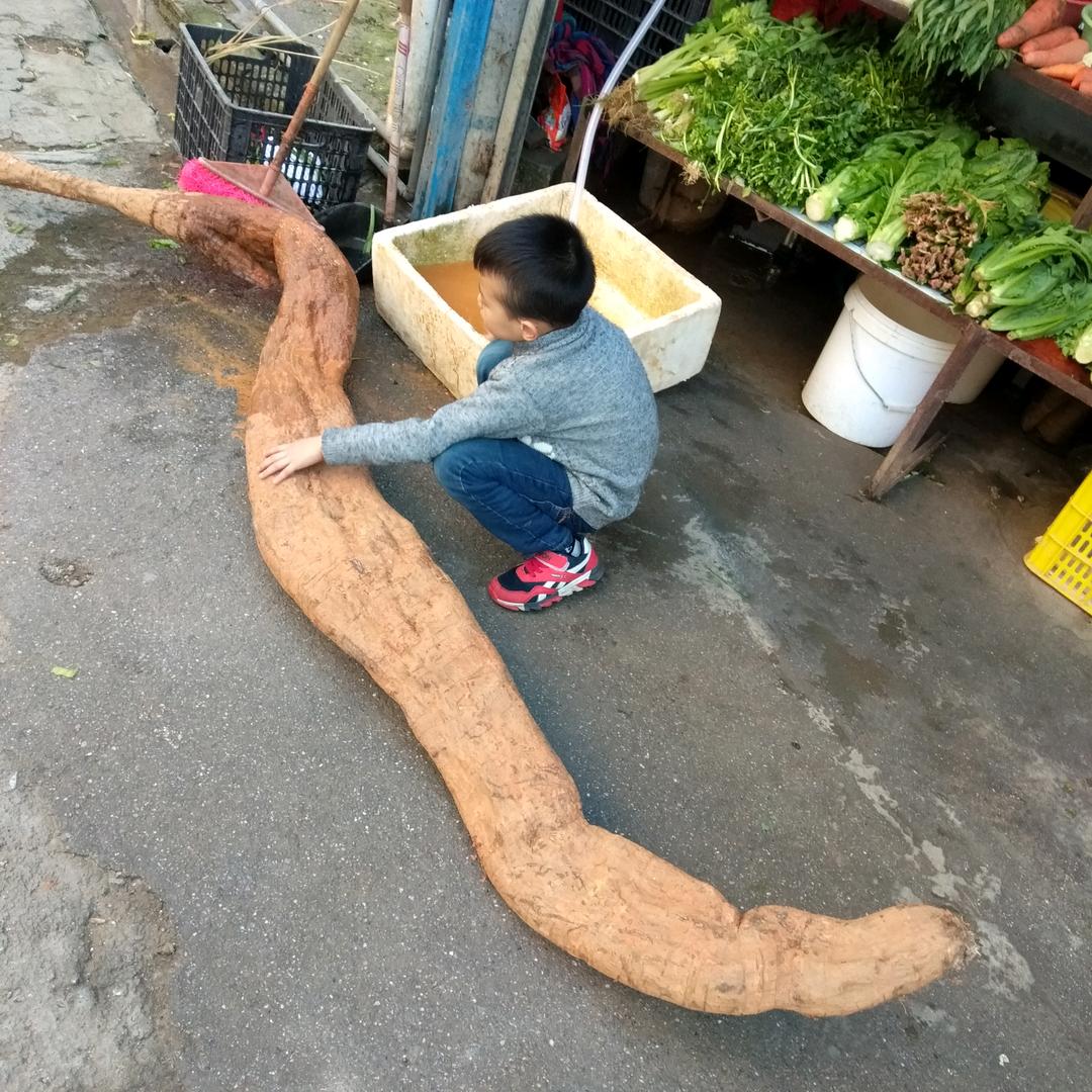 无忧无虑