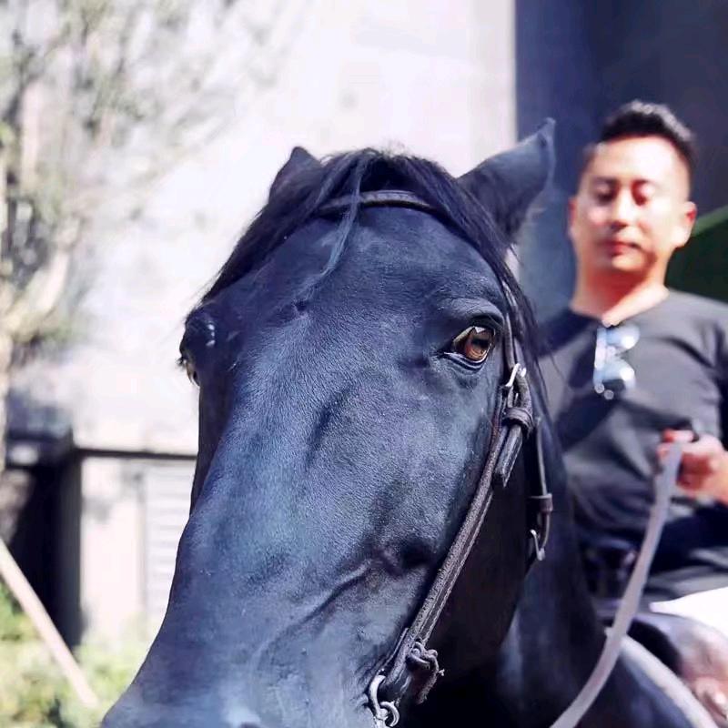 博物馆三人行