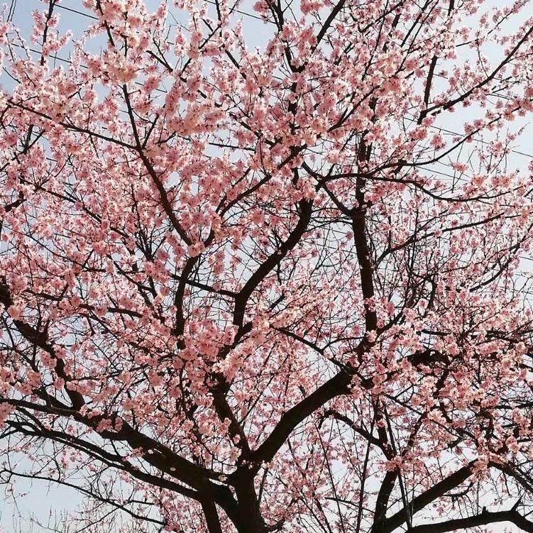 喂，你的心给我好吗？