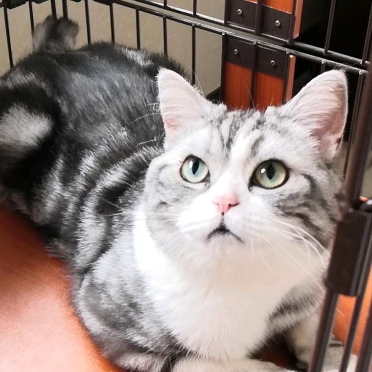 向往（好物分享）