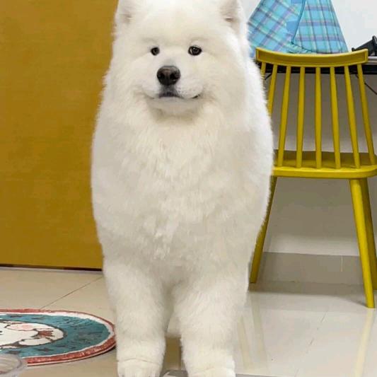 烦恼