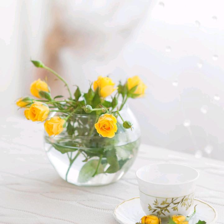 小米粒故事会