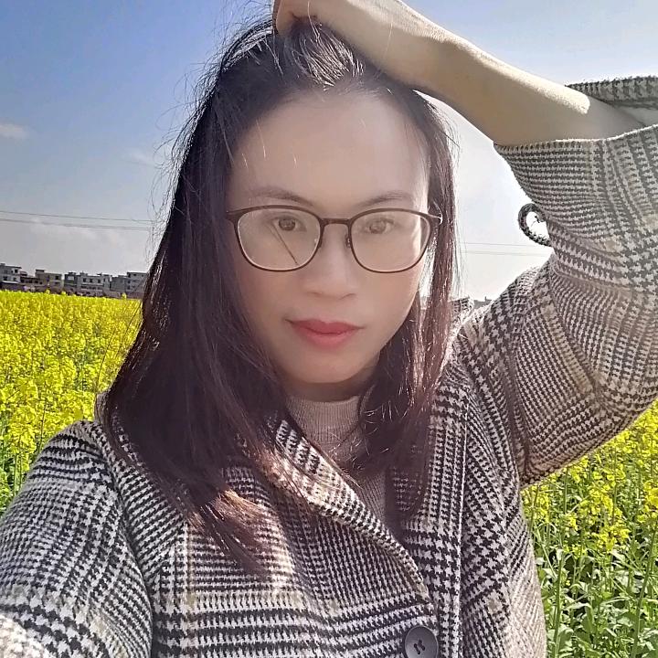 清风慕竹