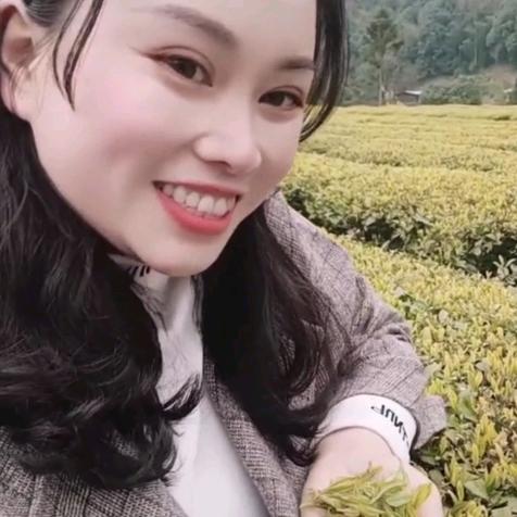 牟妹茶叶
