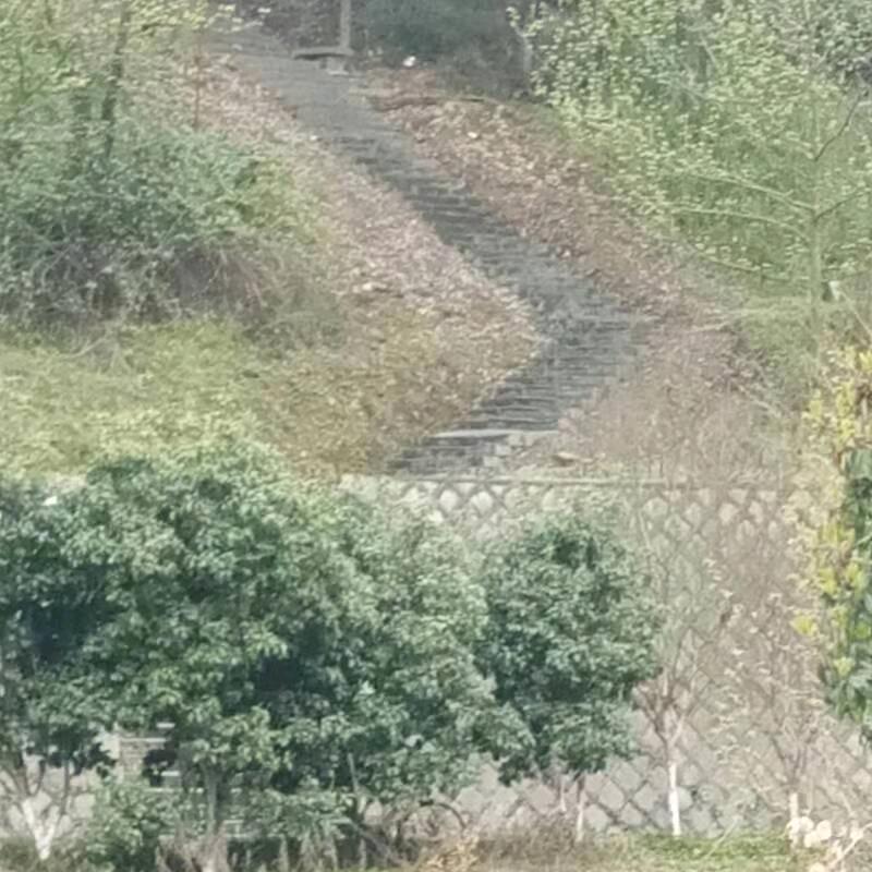 一路同行