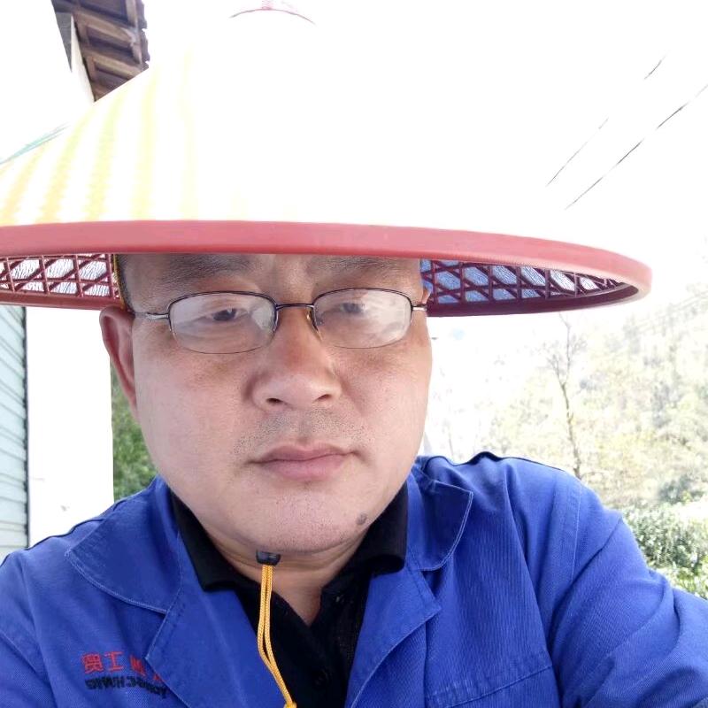 大利