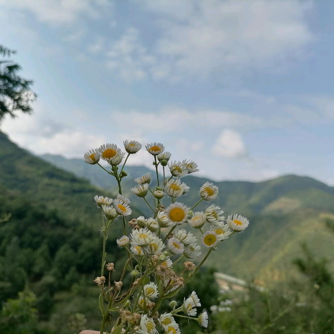 美好的人生之路
