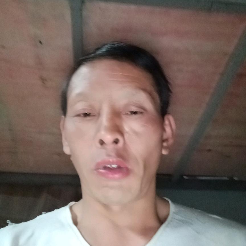 汪大哥
