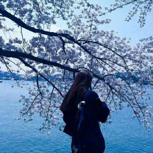 邓邓