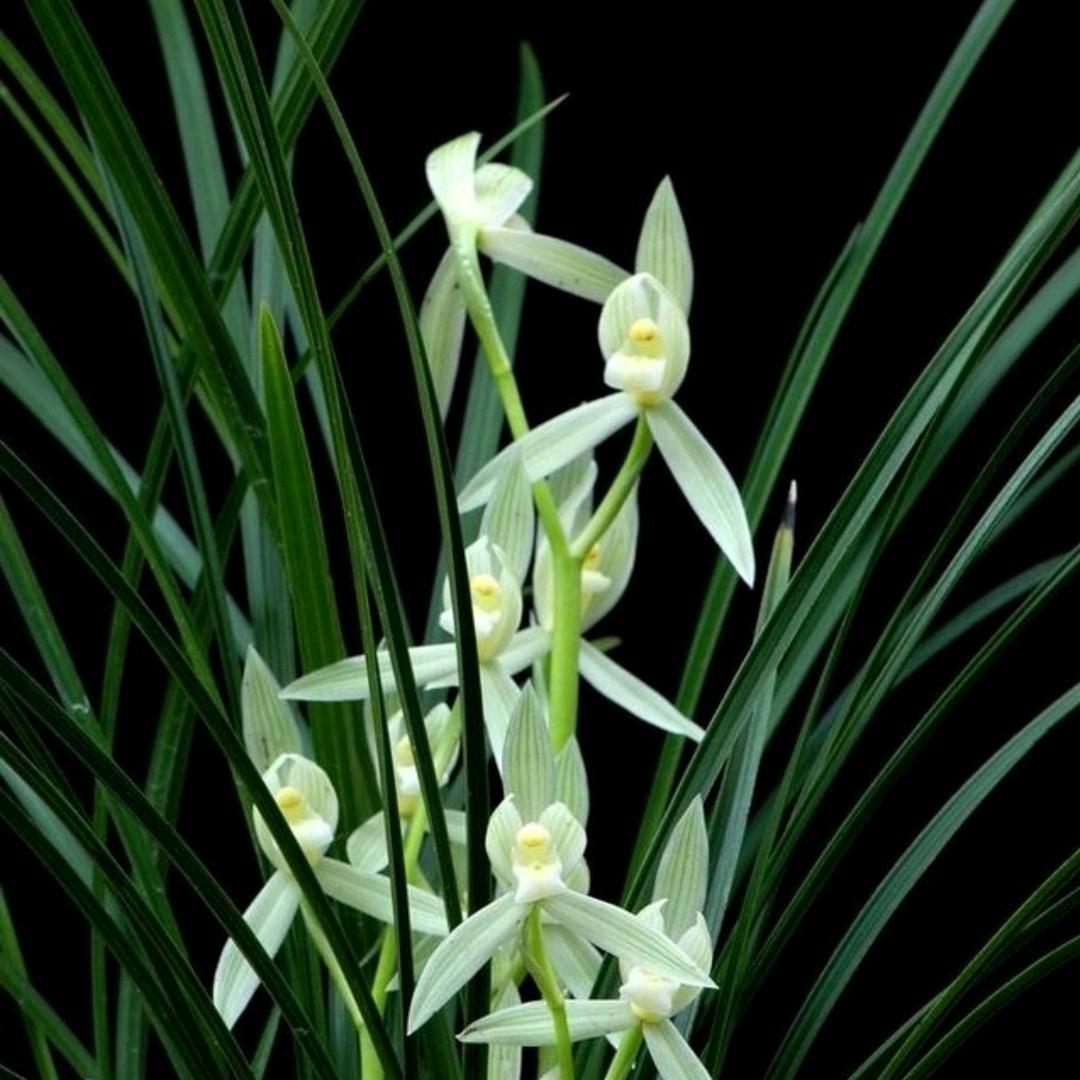 高鸿科技广场 王艳