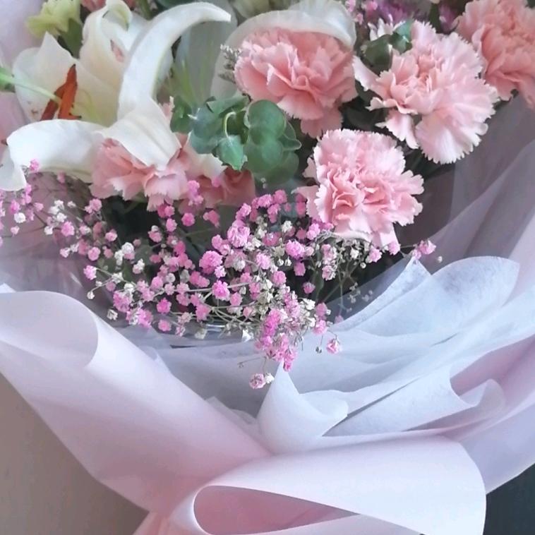 灿烂樱花