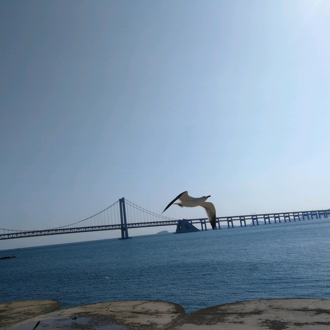 钟灵毓秀