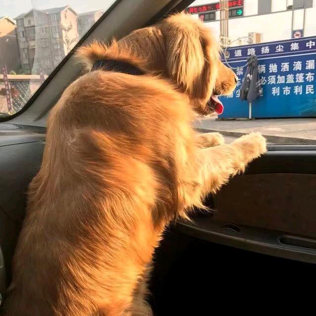 尼妈妈的吻