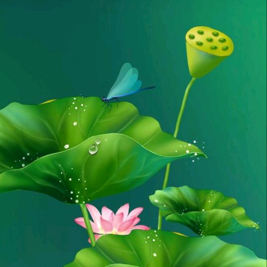 一枚白羊吖