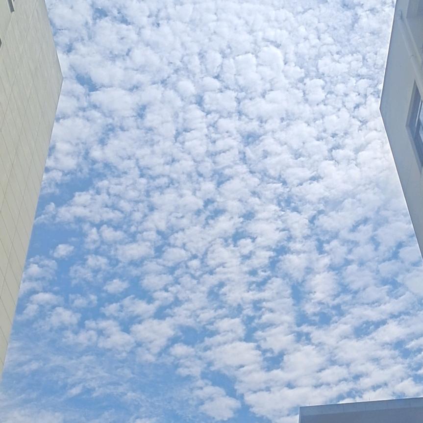 十分之七黑的白