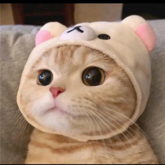 冬至的.晨曦