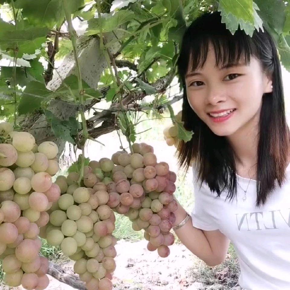 过往云烟