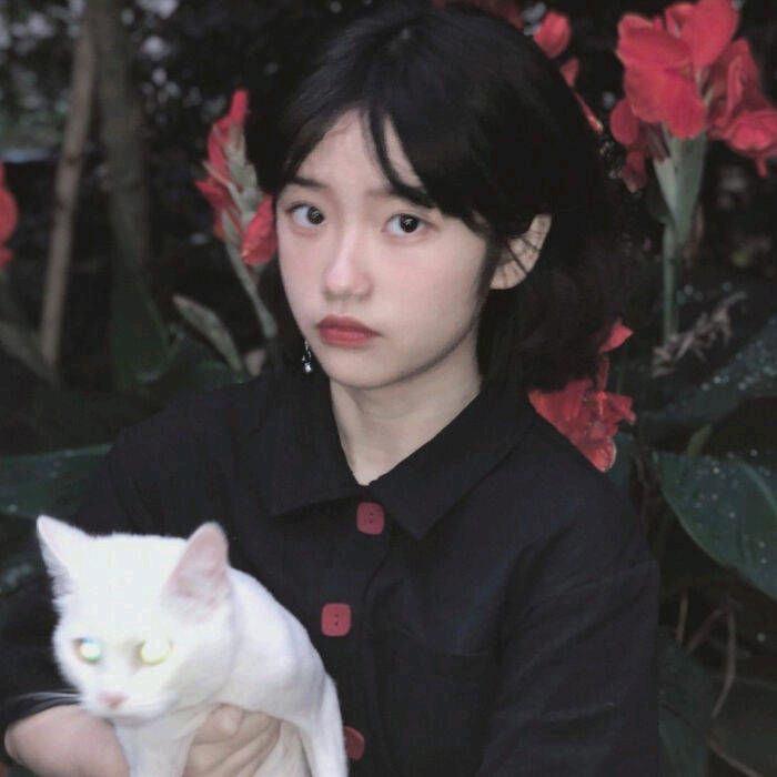 苏稚.（见过汪苏泷三次版）