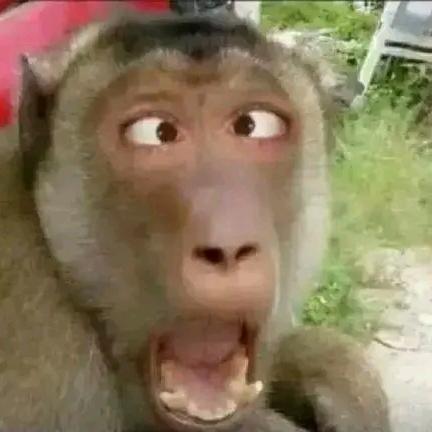 宇宙无敌世界第一超级聪明的猴王