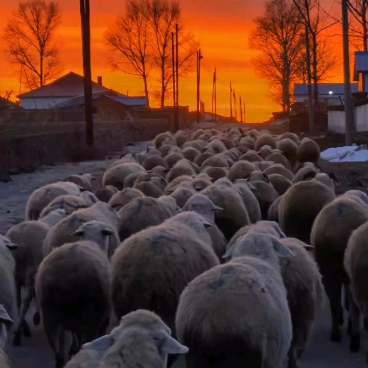 坐在月亮上等你