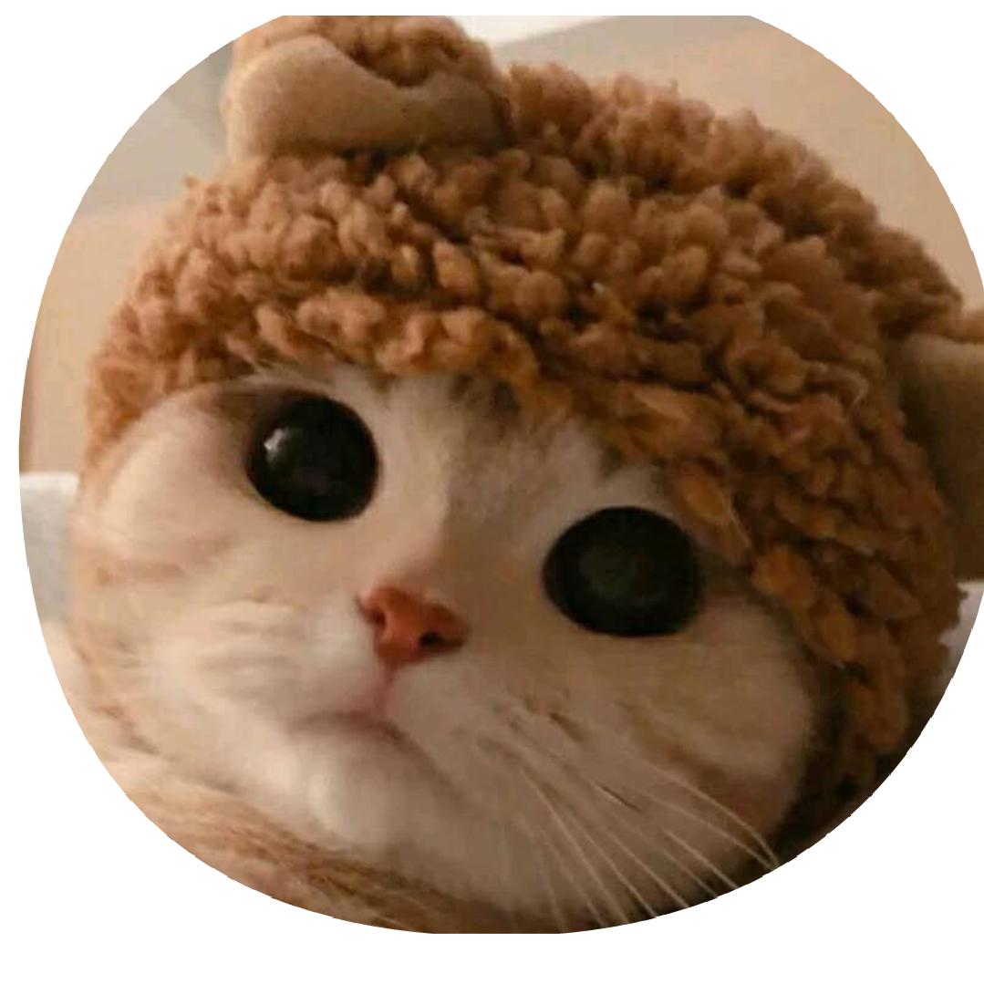 小夜猫（请不要关注.哥没钱.谢谢）