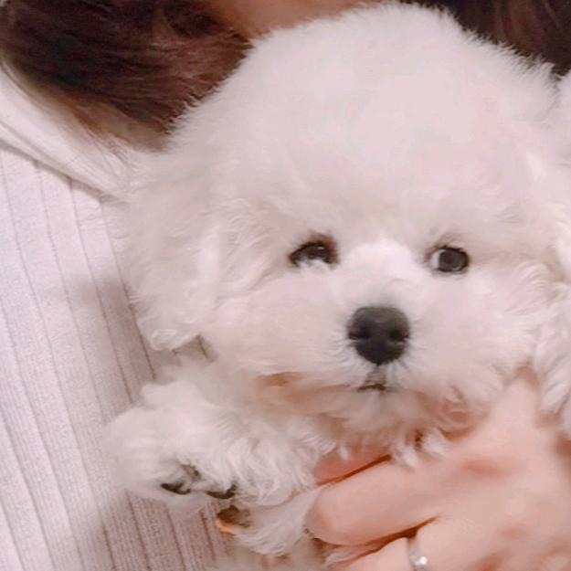 ❤️❤️❤️爱你宝贝～❤️❤️❤️