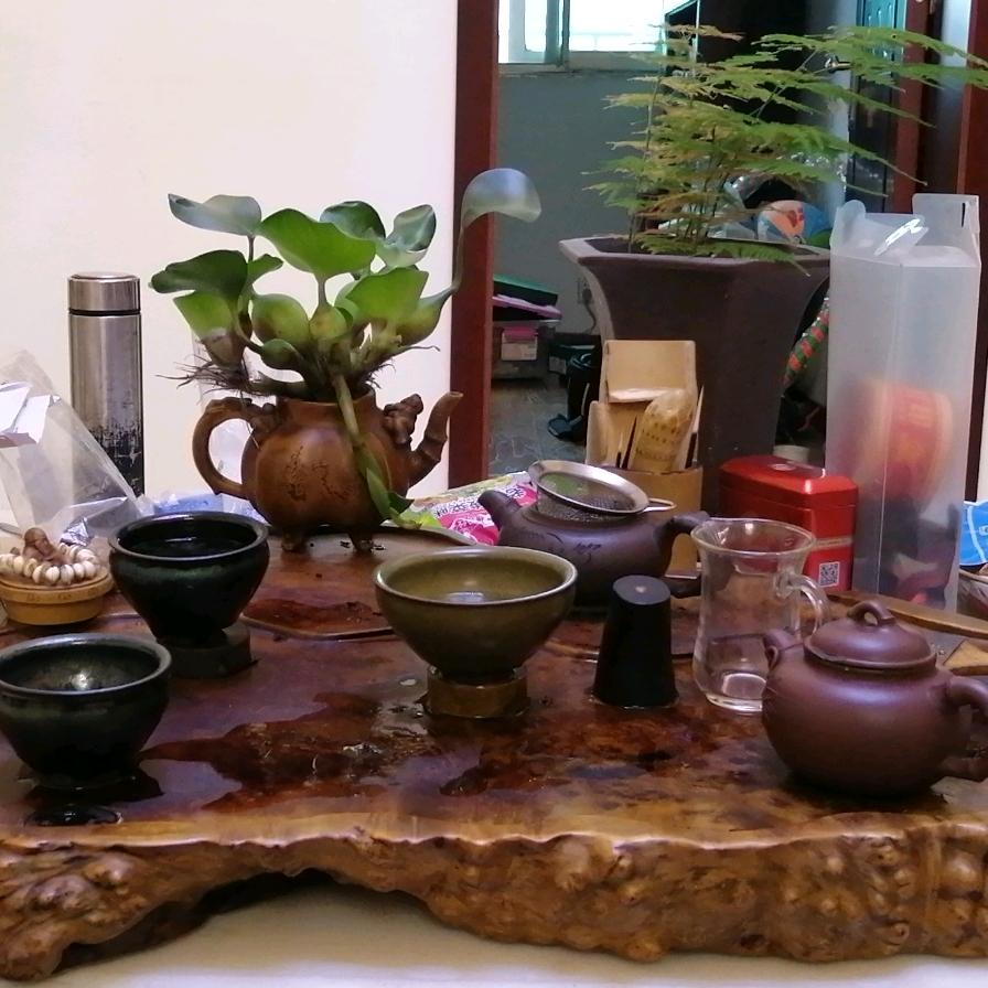 临风对月