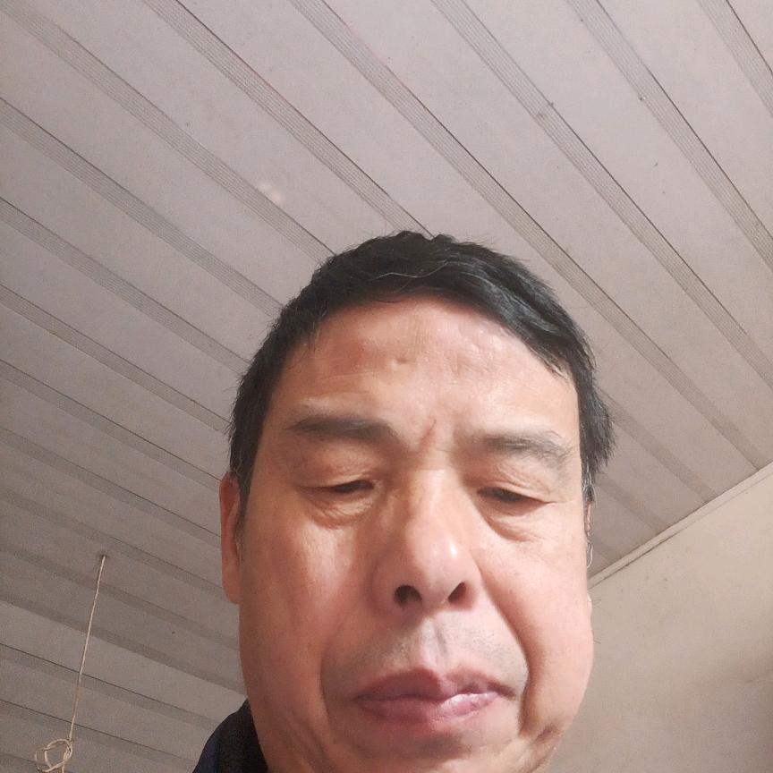 杨羊