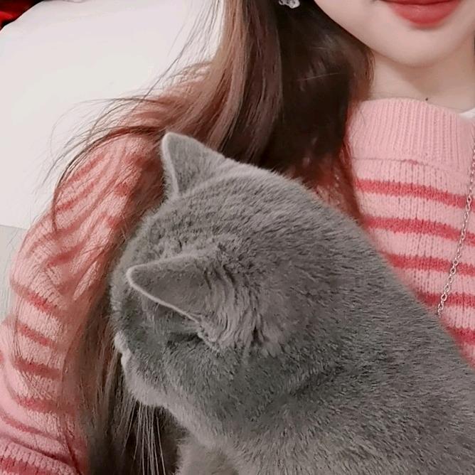 饮冰