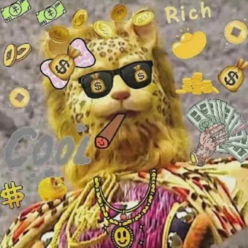 乡下来的金钱豹