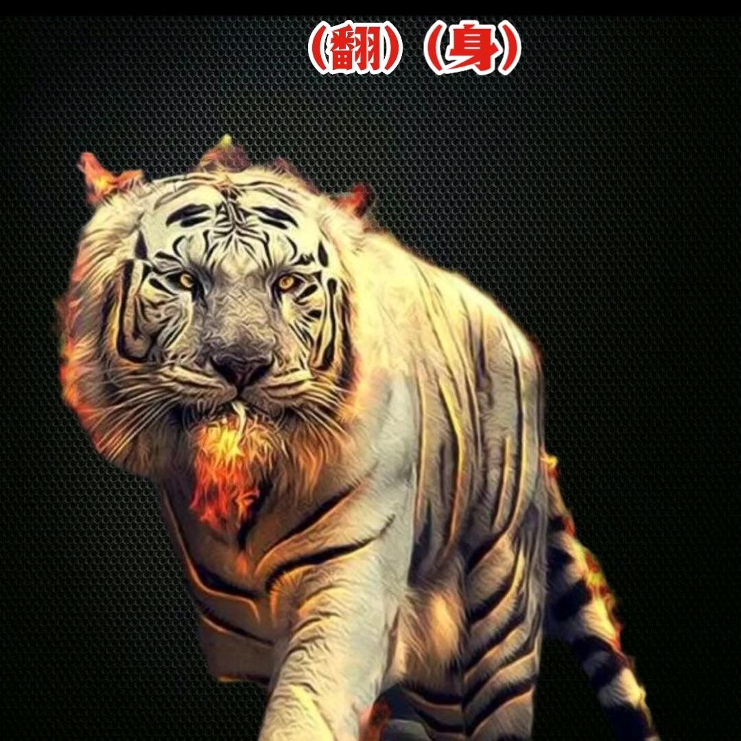 上海苏氏车队集装箱运输☞专业冷柜气垫白卡