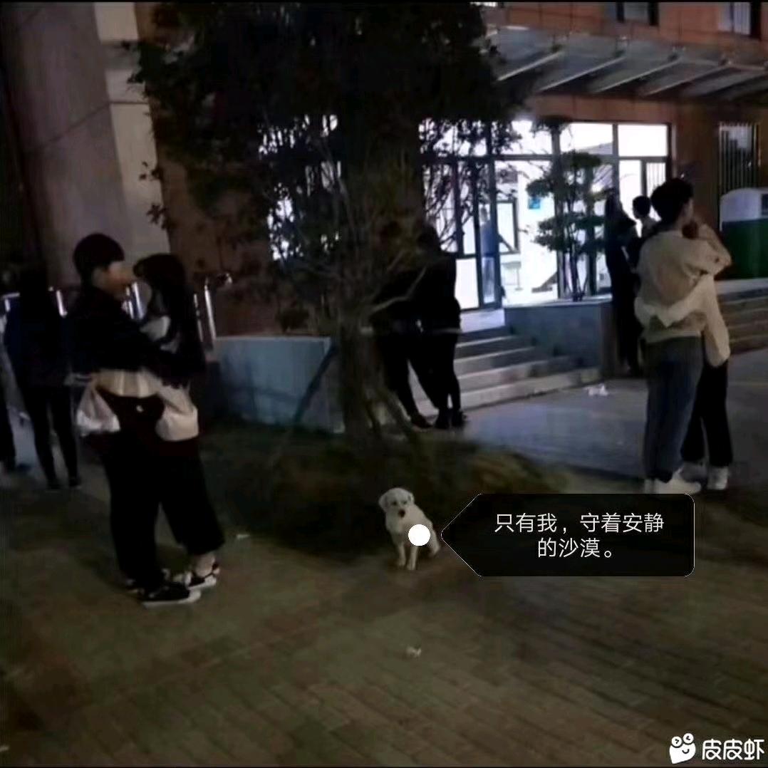 ゞ厌了倦了就旧了つ